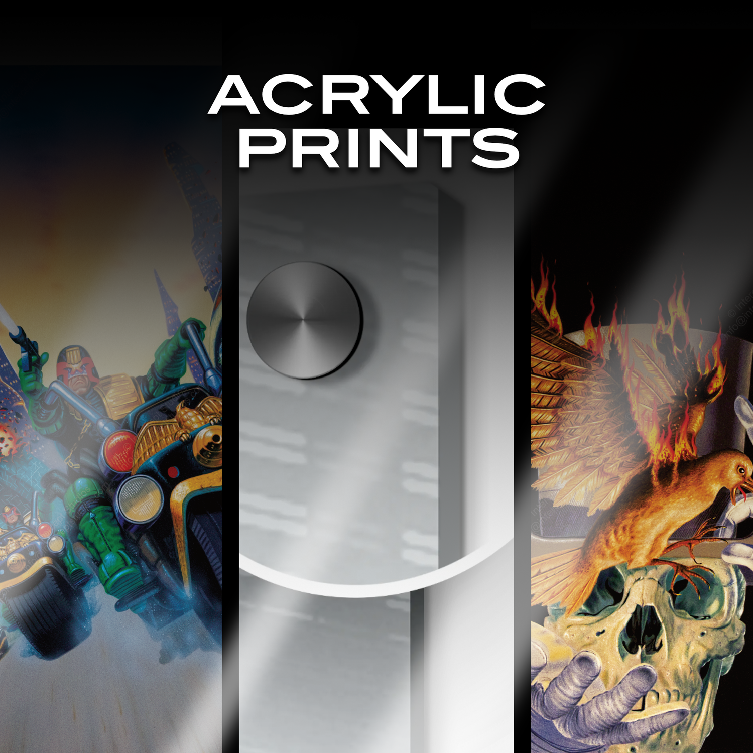 Acrylic Prints