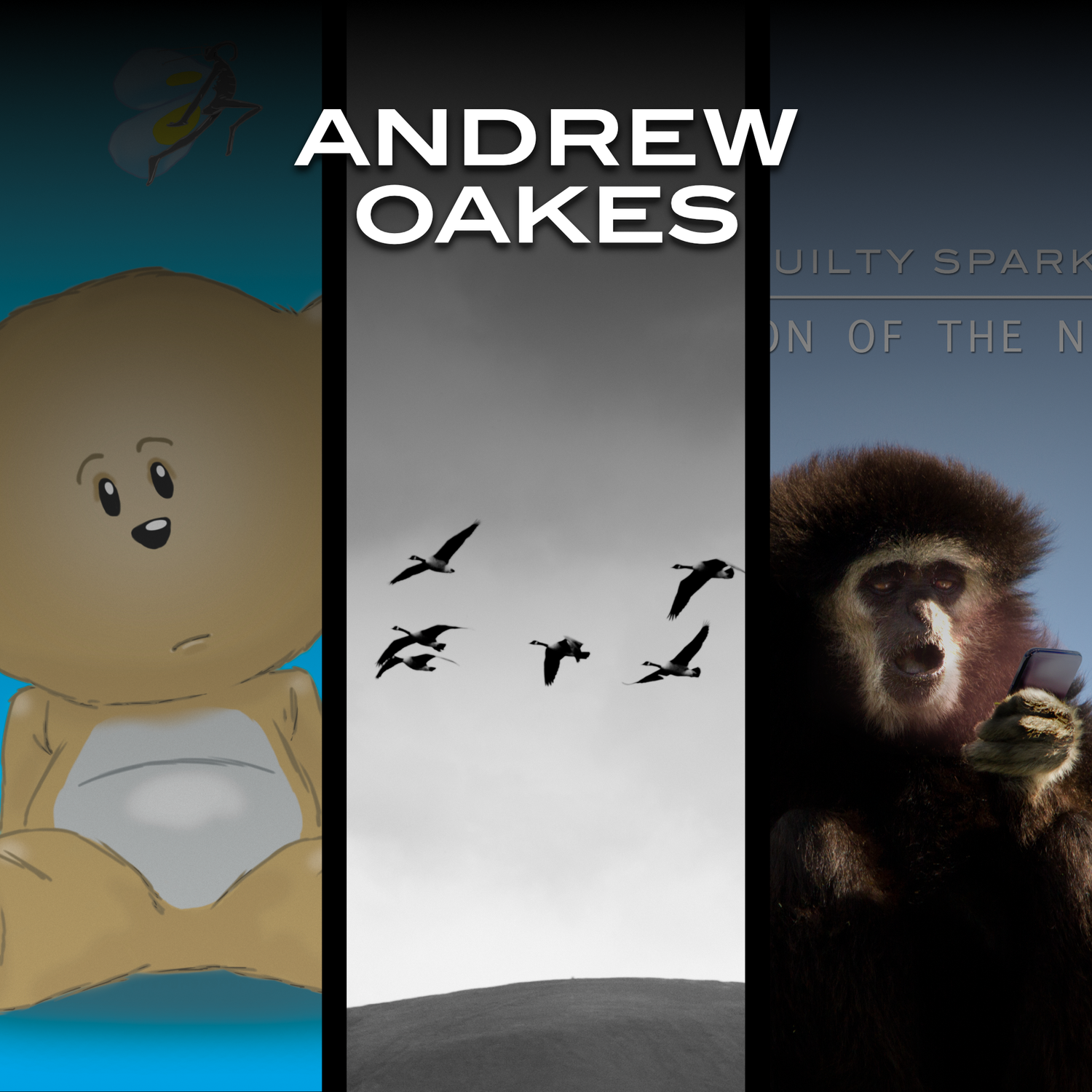 Andrew Oakes