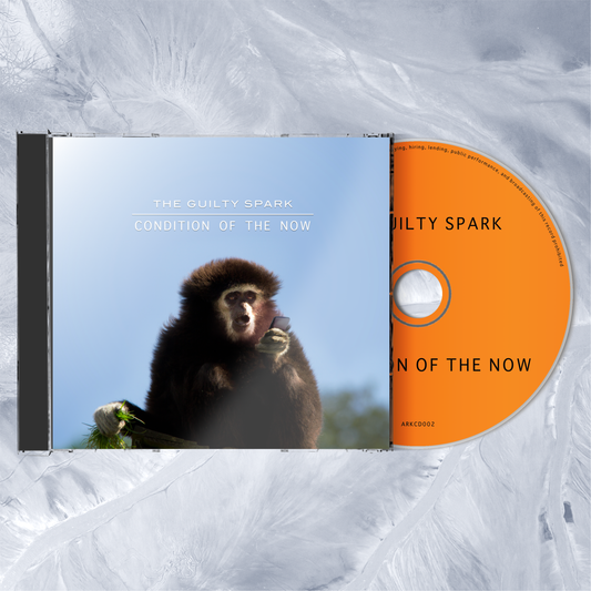 The Guilty Spark – Condition of the Now – CD