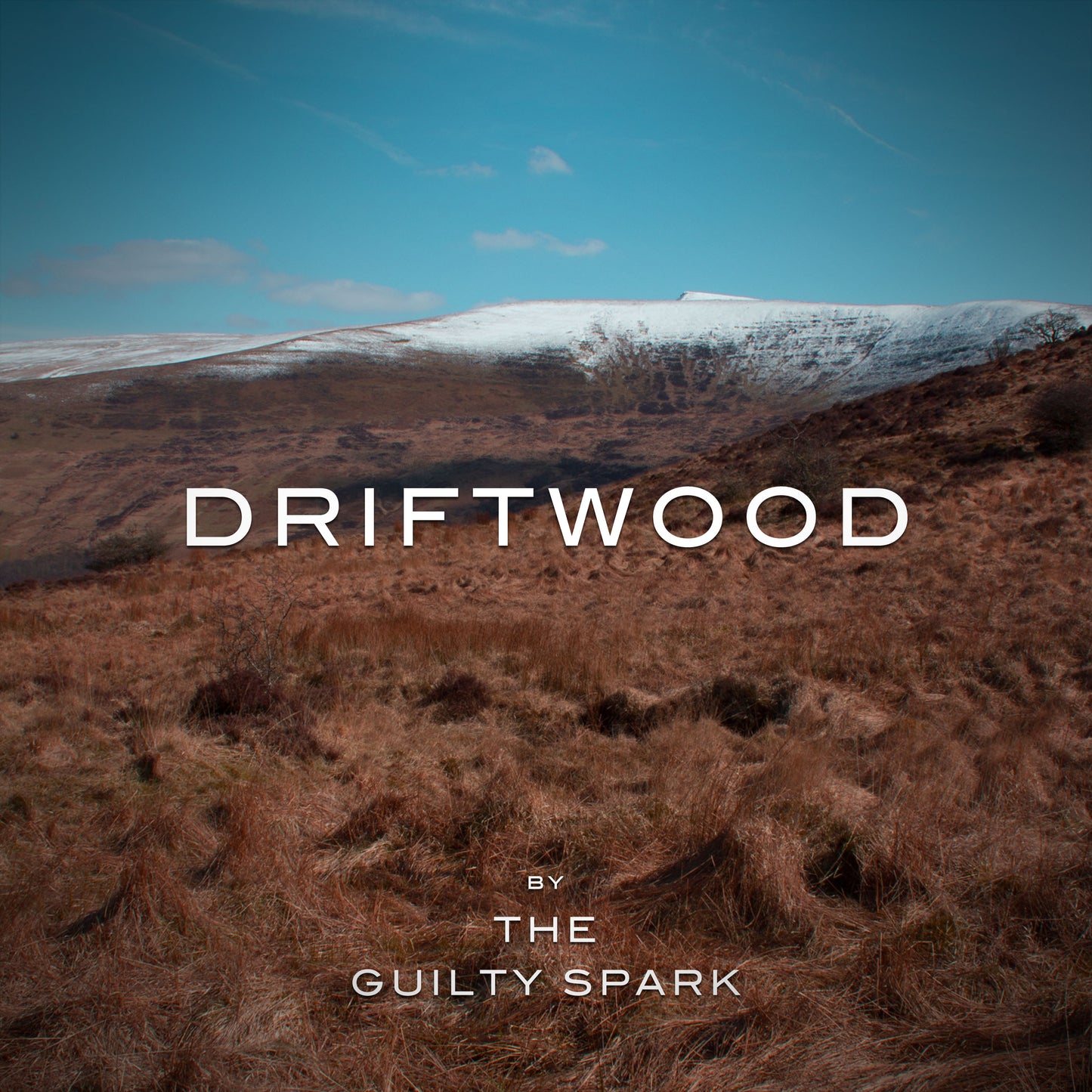 The Guilty Spark – Driftwood – CD