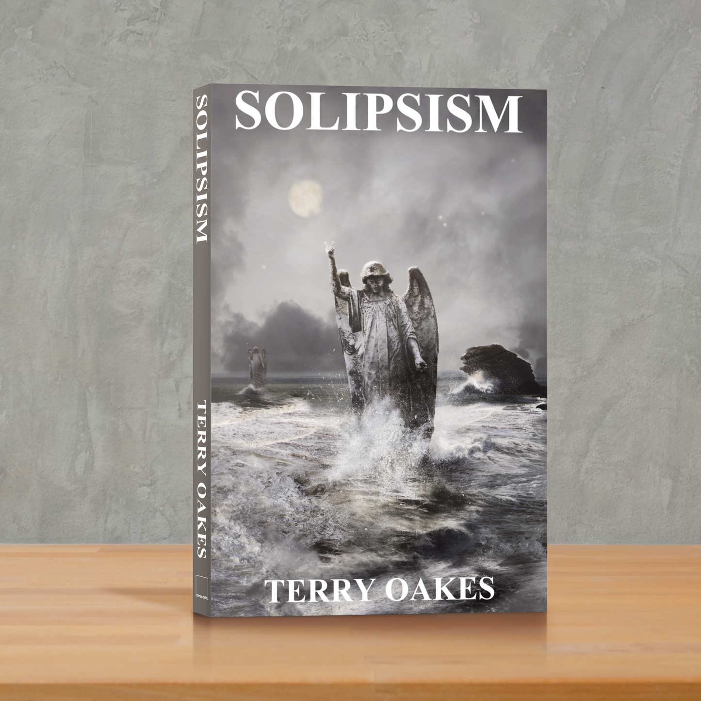 Solipsism by Terry Oakes – Book