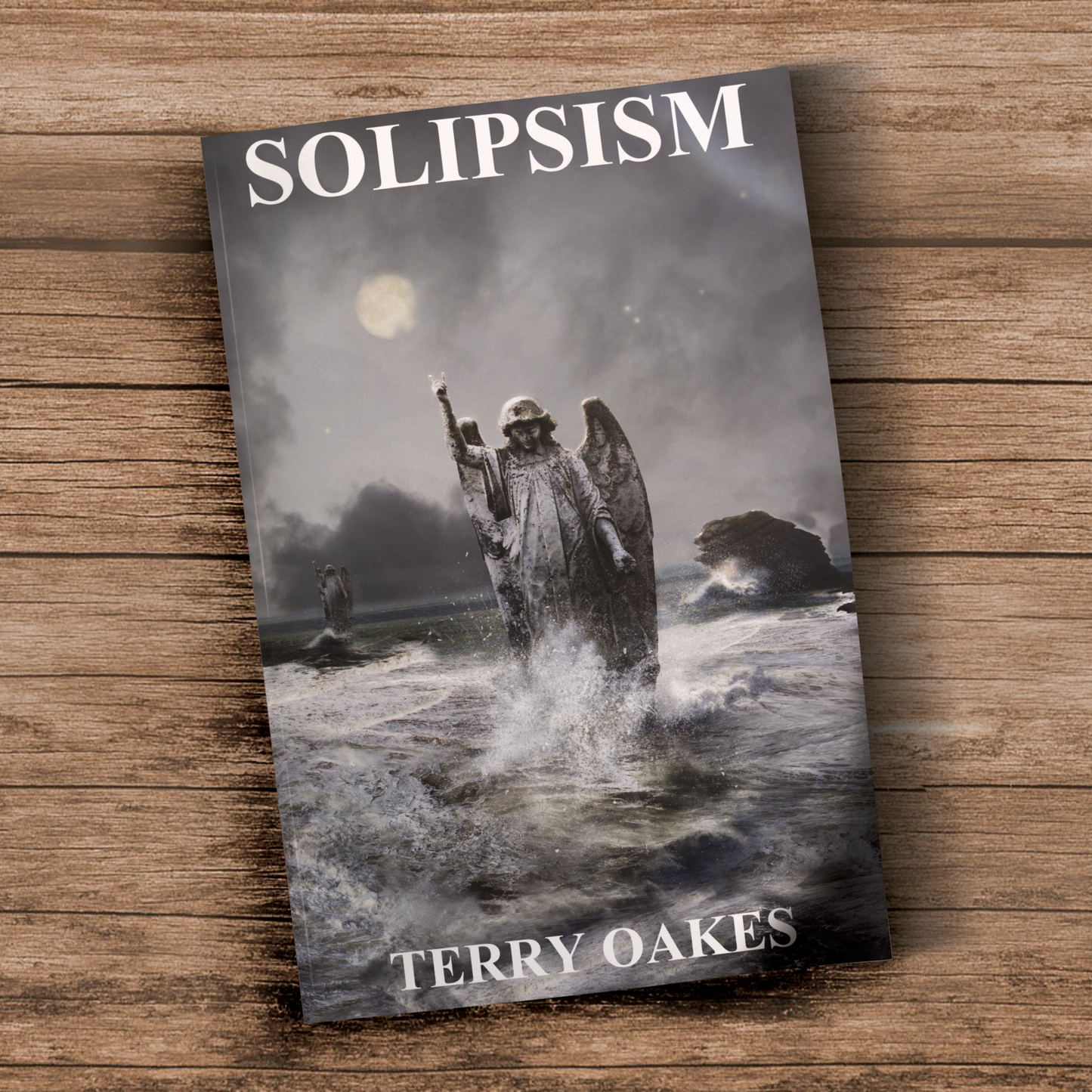 Solipsism by Terry Oakes – Book